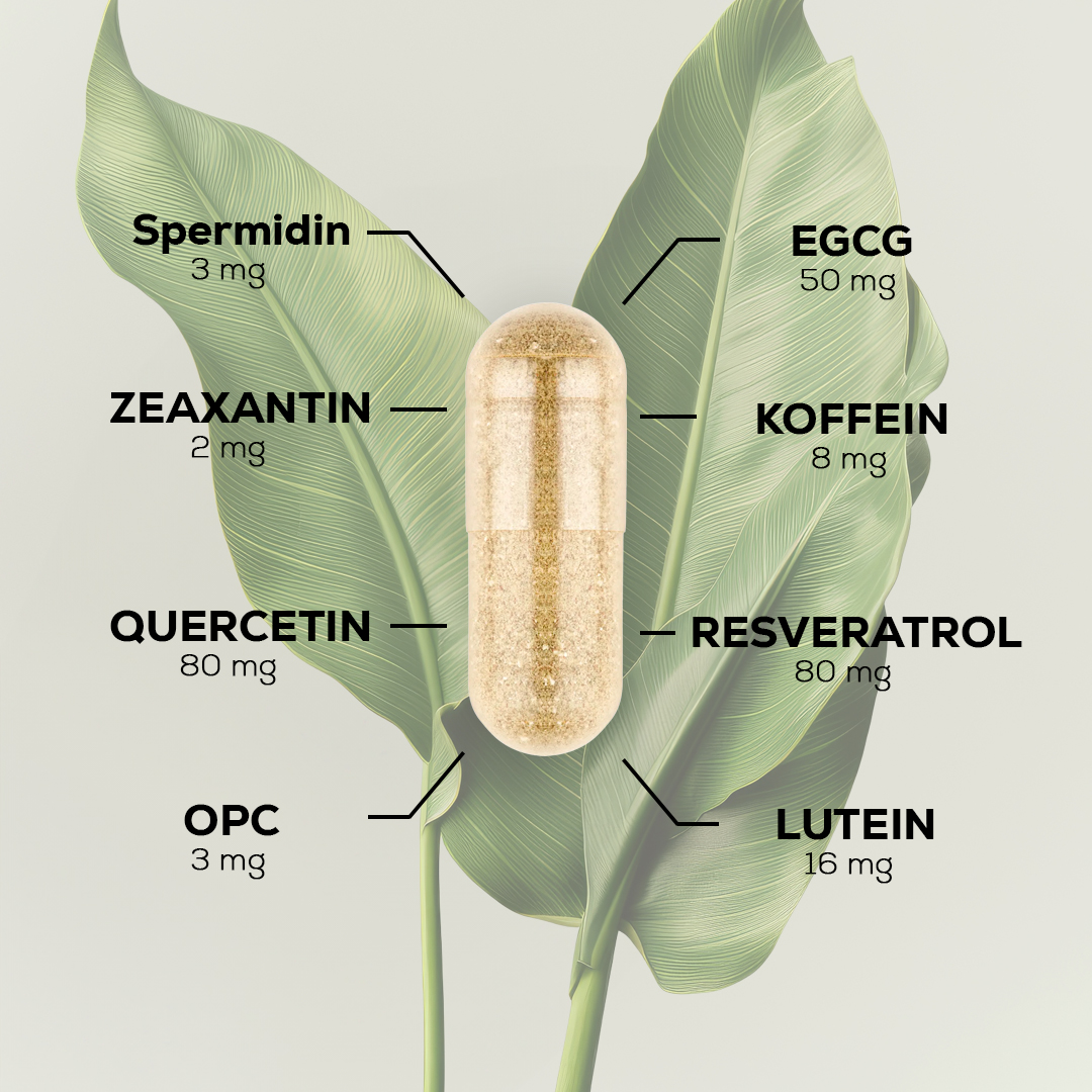 Age Attack® - Vital Aging Fördert zelluläre Vitalität – Bild 3